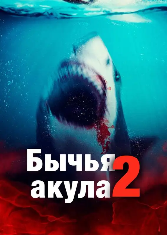 «Бычья акула 2» filmidan kadr