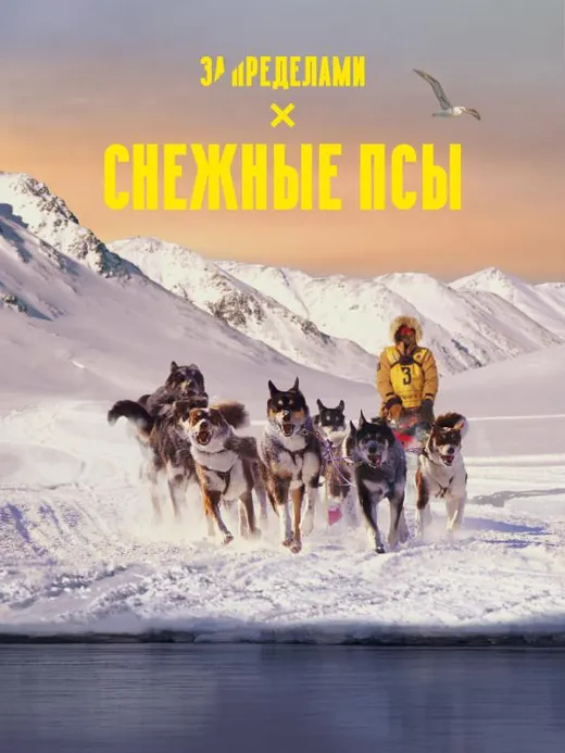 Снежные псы
