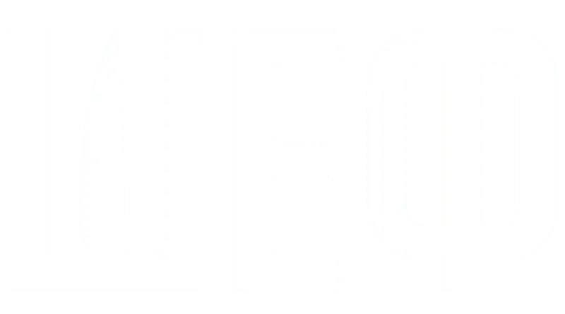 Шеф (2024)